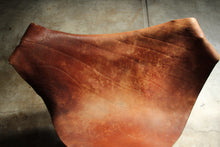 Load image into Gallery viewer, Daniel Wenger Early "Lotus" Lounge Chair, 1970s
