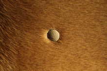 Load image into Gallery viewer, Eames Time Life Executive Chair in Hair-on-Hide, 1980s
