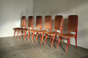 French Modernist Dining Chairs by Maison Stella, 1950s