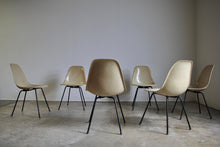 Load image into Gallery viewer, Eames First Production Venice Side Shell Dining Chairs - Set of 6
